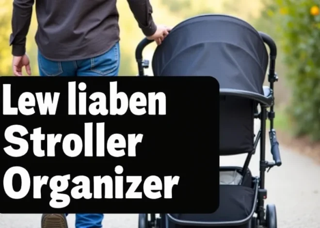 Best Disney Stroller Organizer Guide