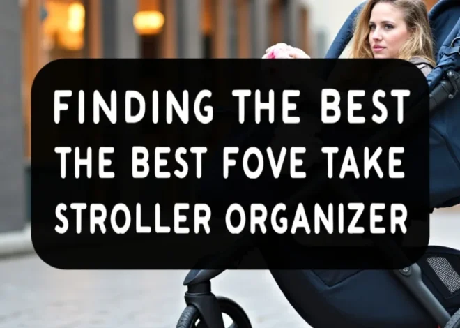 Finding the Best Stroller Organizer