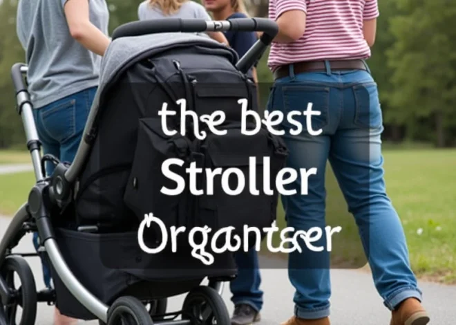 The Best Thule Stroller Organizer Reviews